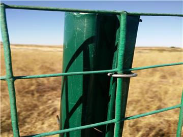 涂塑荷蘭網(wǎng)圍欄03 涂塑荷蘭網(wǎng)圍欄03